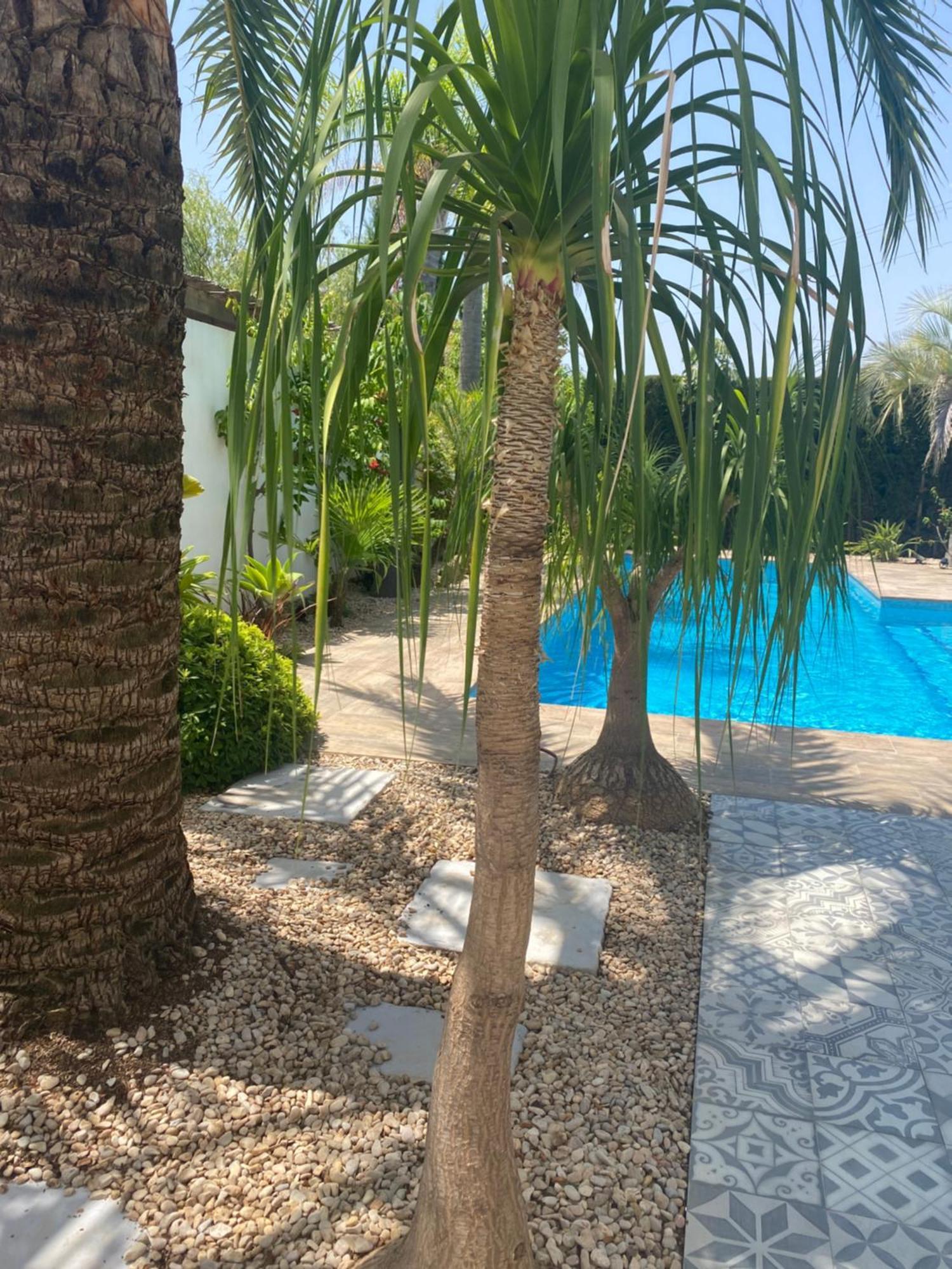 Holiday home Bohospanishvilla *